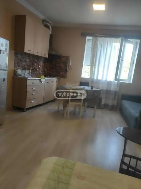 1 room Flat For Rent. Mtatsminda  - picture #1