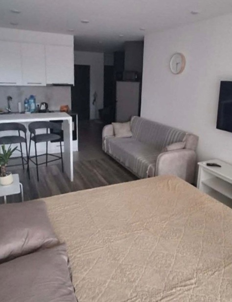 1 room Flat For Rent. Batumi - picture #1