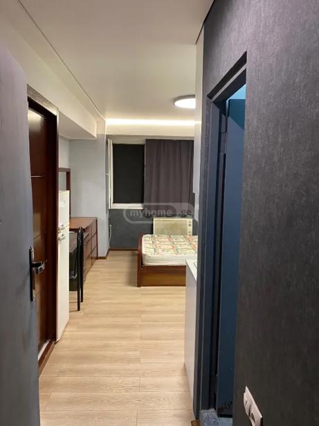 1 room Flat For Rent. Saburtalo  - picture #1