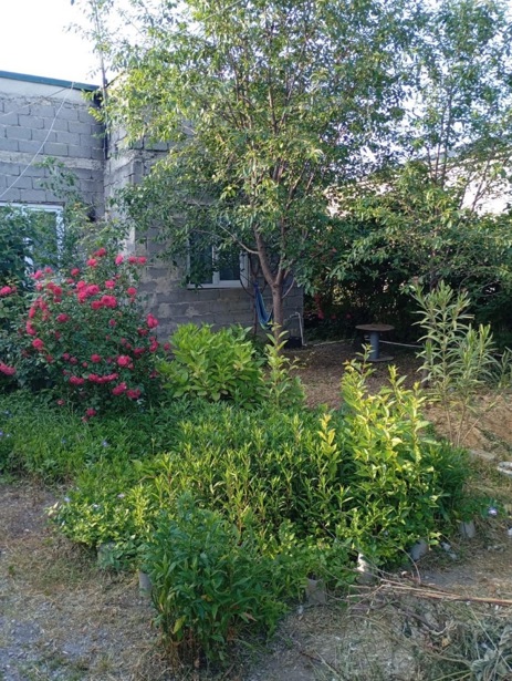 5 room Private House For Sale. Mukhiani  - picture #1