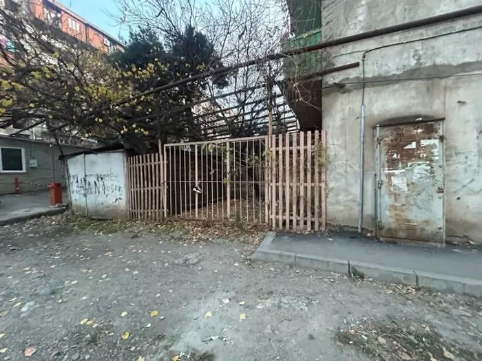 https://static.ss.ge/20261031/18_d5b1f7c8-7f24-469d-b4b6-b878e4b0f86c_Thumb.jpg