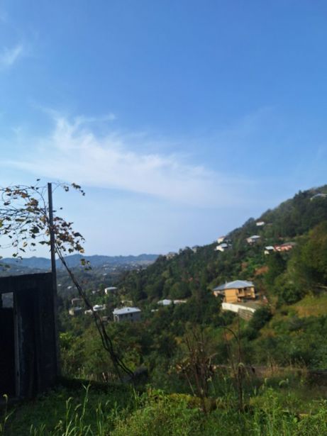 Land For Sale. Batumi - picture #1