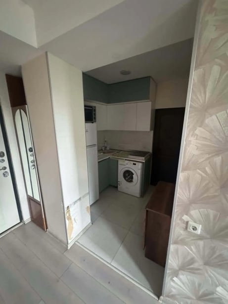 1 room Flat For Rent. Bagebi  - picture #1