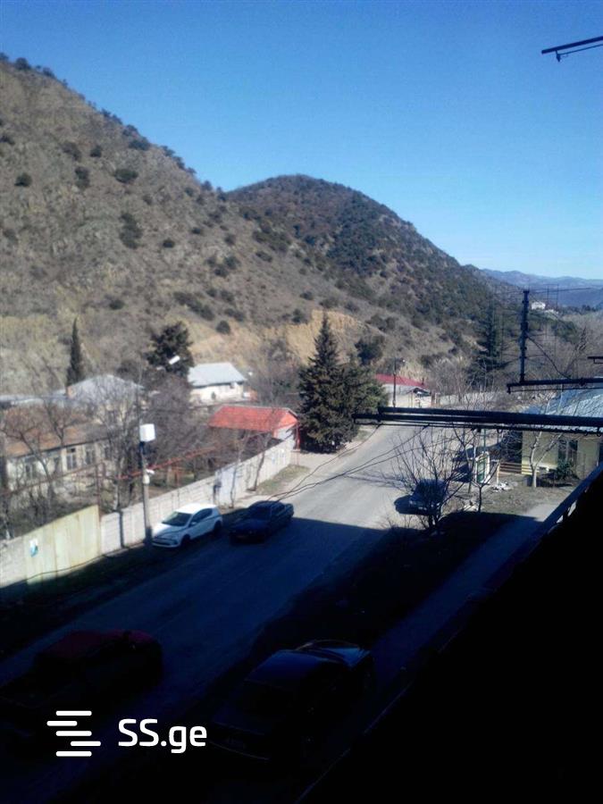1 Room Flat For Rent. Mtskheta view 1