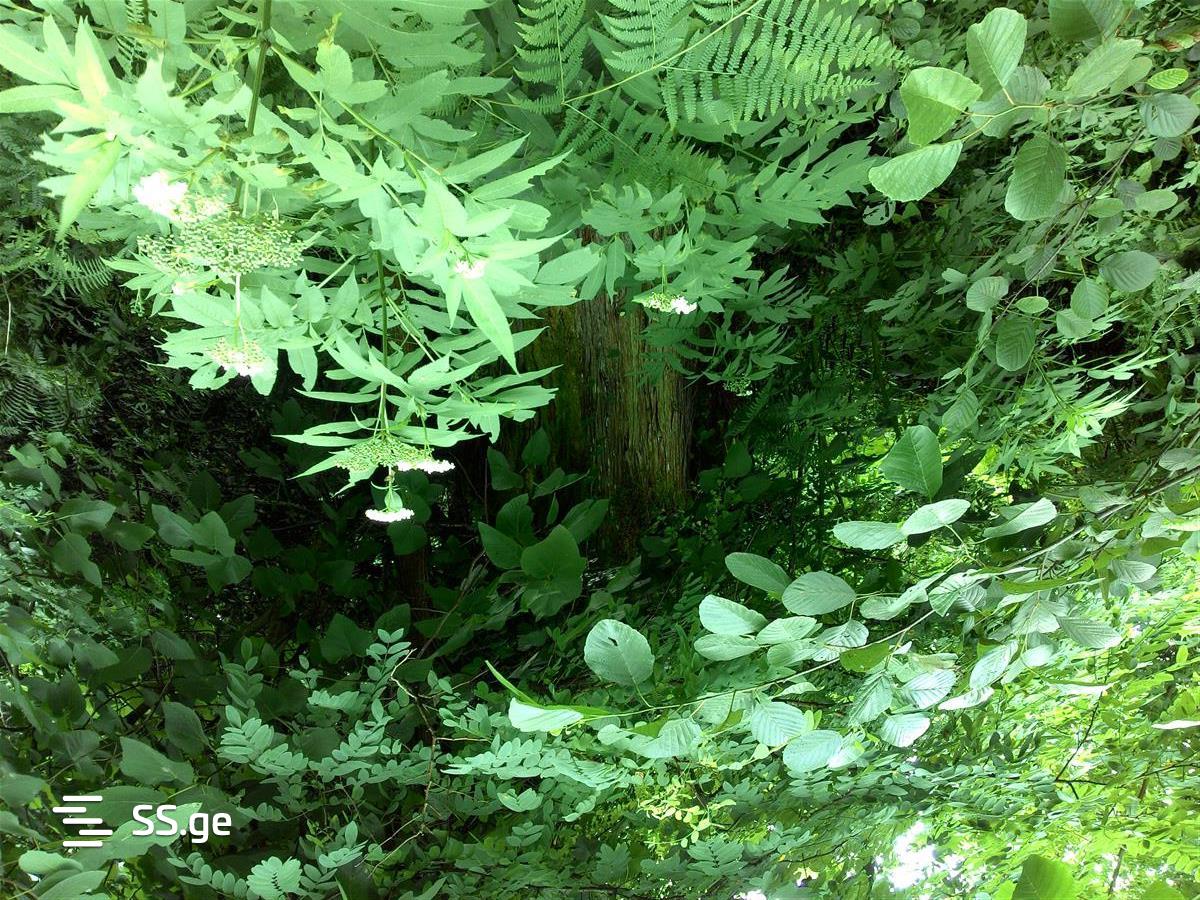 Land For Sale. Ureki view 3