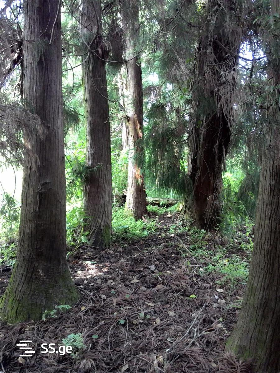 Land For Sale. Ureki view 10