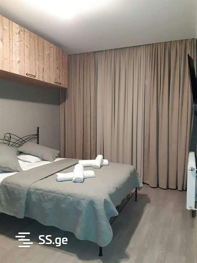 6 Room Summer Cottage Daily Rent. Bakuriani view 11
