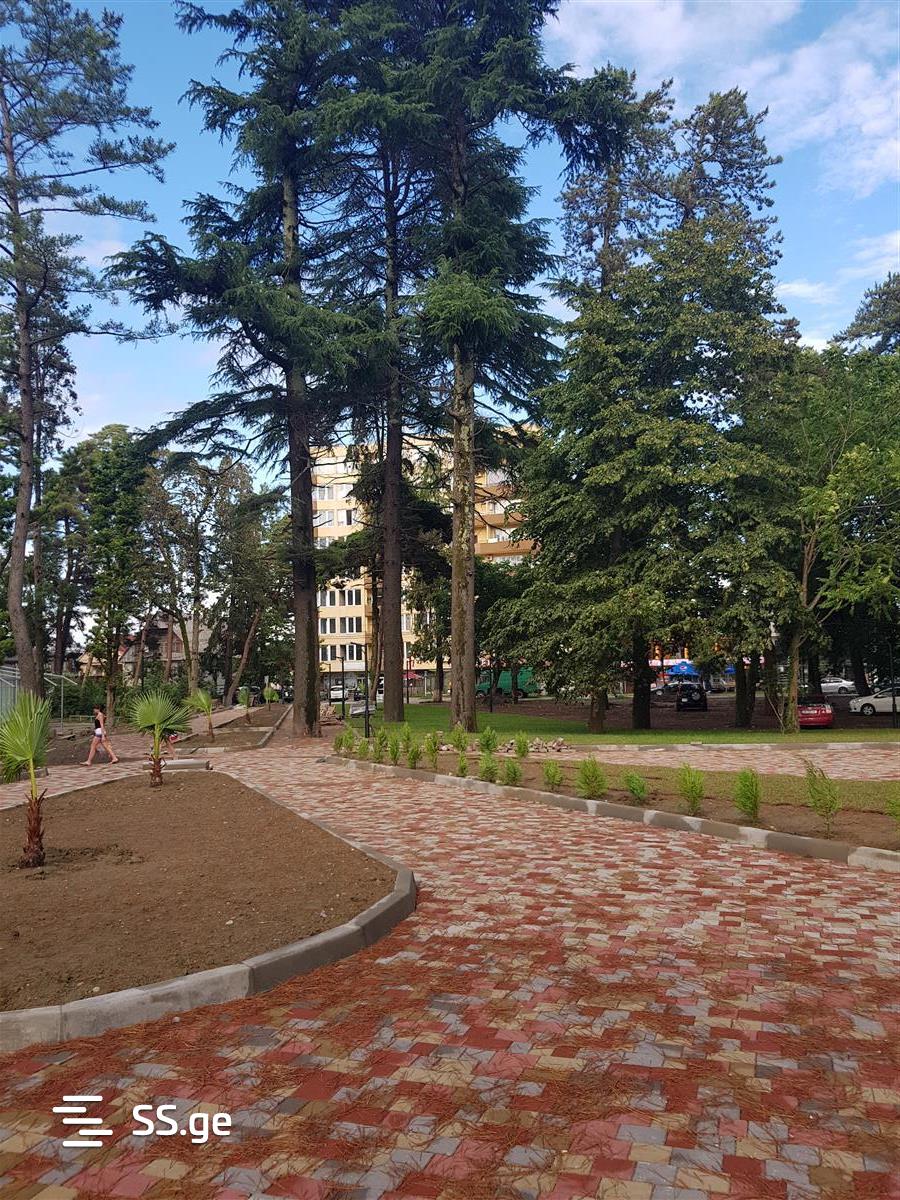 1 Room Flat Daily Rent. Kobuleti view 2