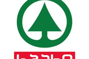 სპარი