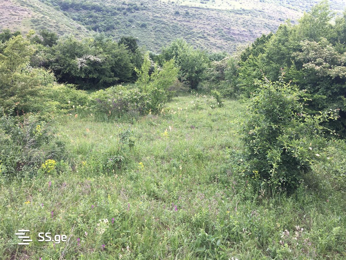 Land For Sale. Kojori view 5