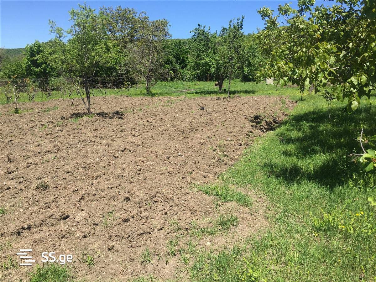 For Sale Sasoplo-Sameurneo Land Plot Mtskhetashi view 12