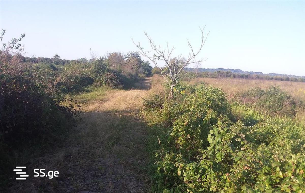 Land For Sale. Zemo Natanebi, 23000 2914582 ss.ge