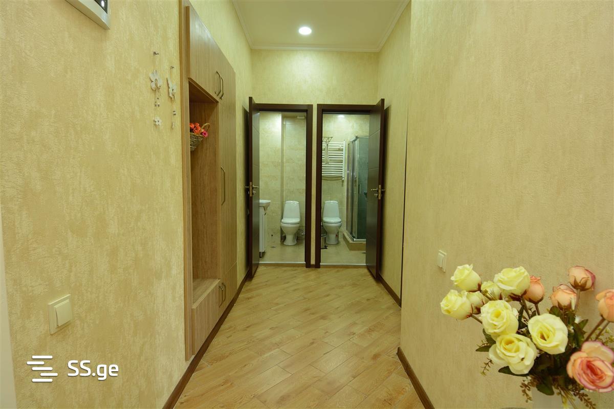 4 Room Flat Daily Rent. Chugureti view 11