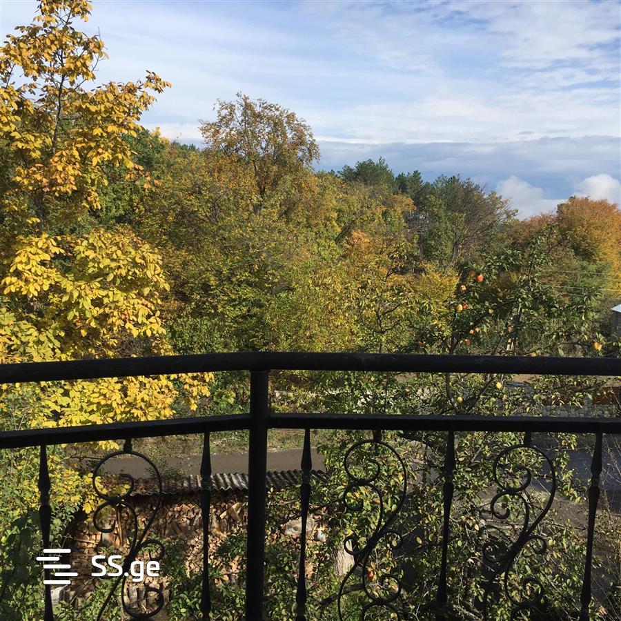 4 Room Private House Daily Rent. Telavi view 6