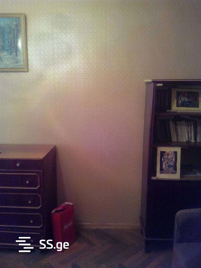 1 Room Flat For Rent. Mtskheta view 4