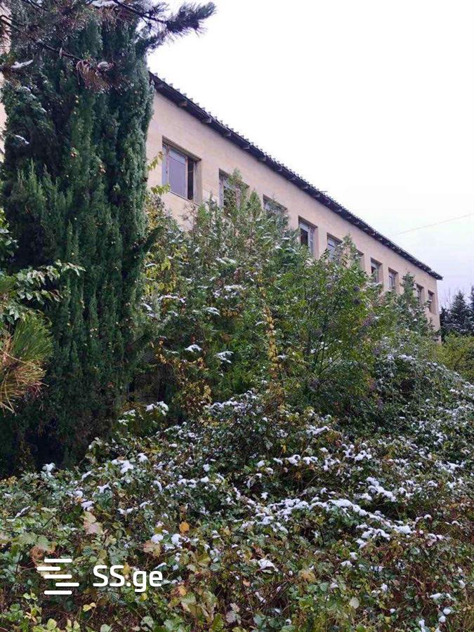 Продажа Store-Industrial Property в сагареджо view 5