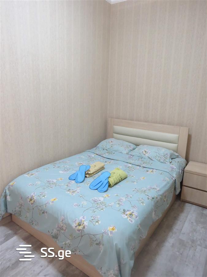 2 Room Flat Daily Rent. Nadzaladevi view 3