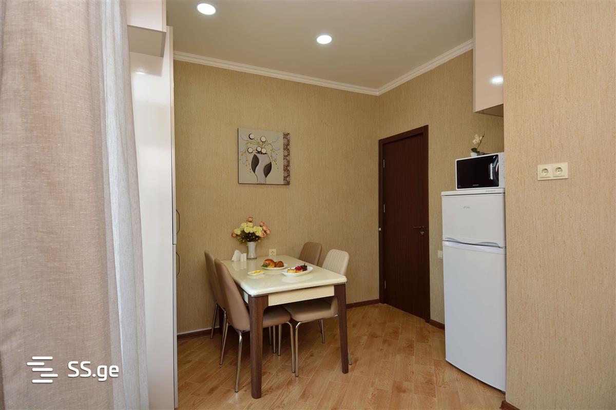4 Room Flat Daily Rent. Chugureti view 5
