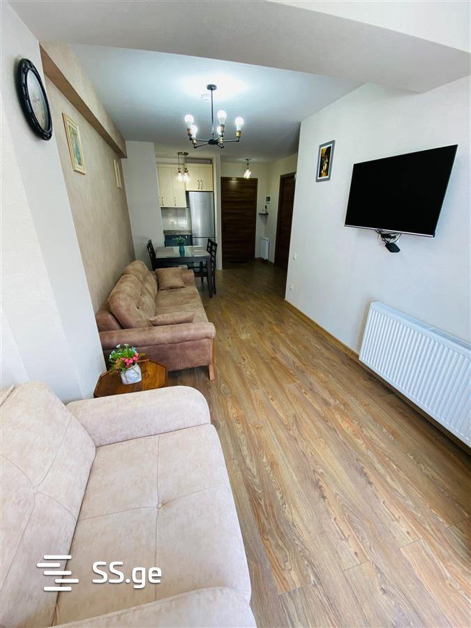 2 Room Flat Daily Rent. Bakuriani, 10 of 12