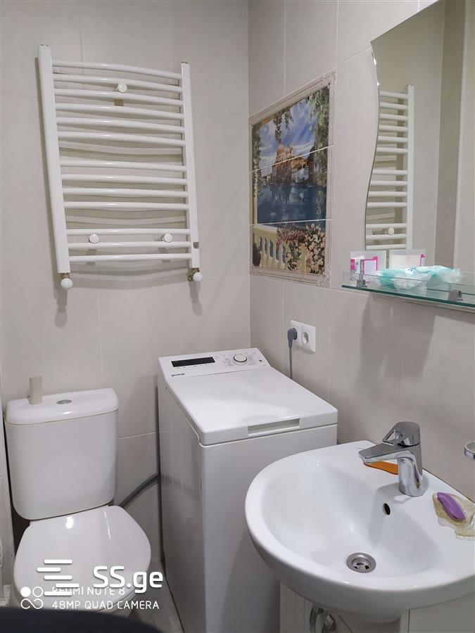 2 Room Flat Daily Rent. Borjomi view 6