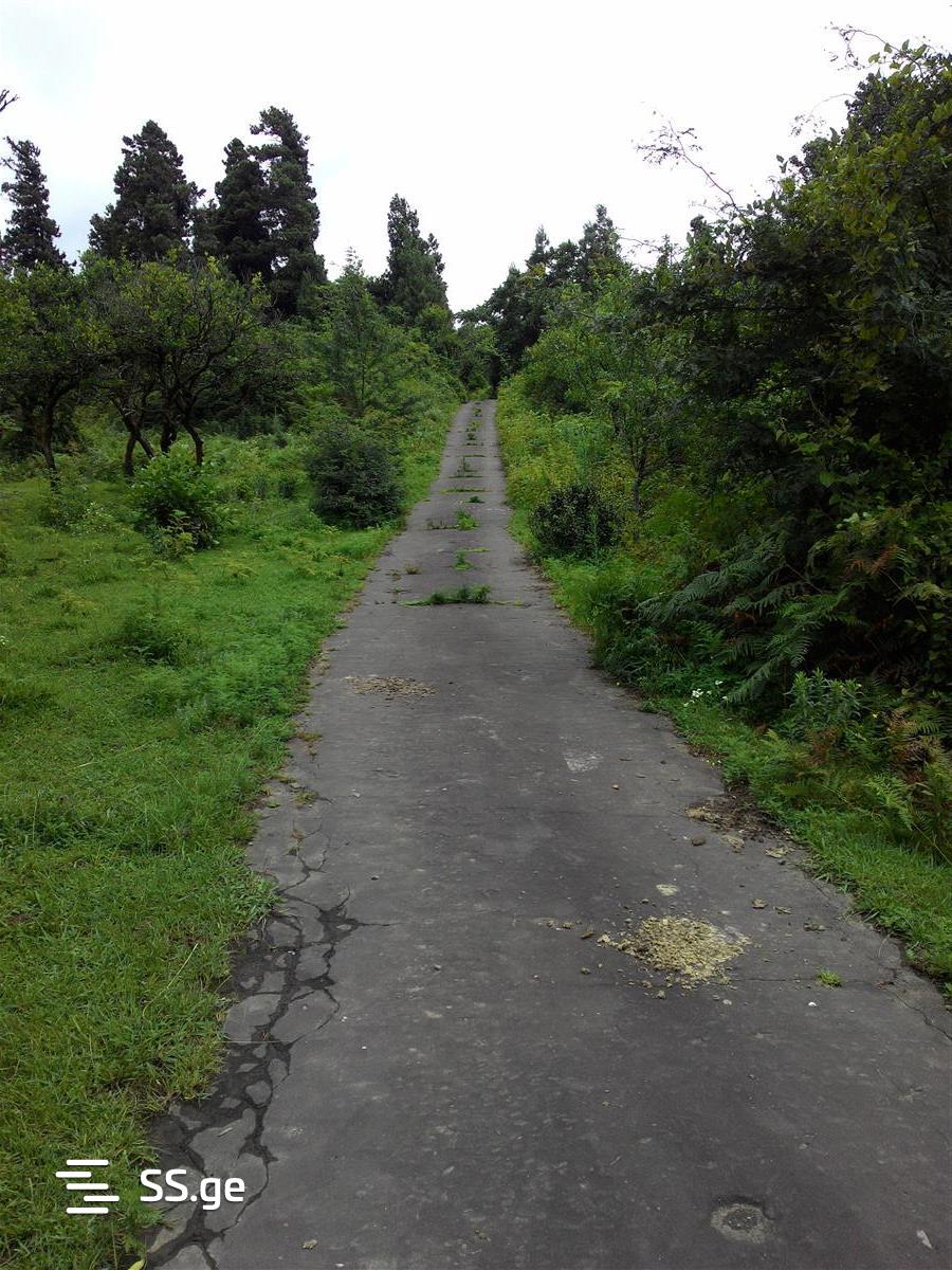 Land For Sale. Ureki view 5