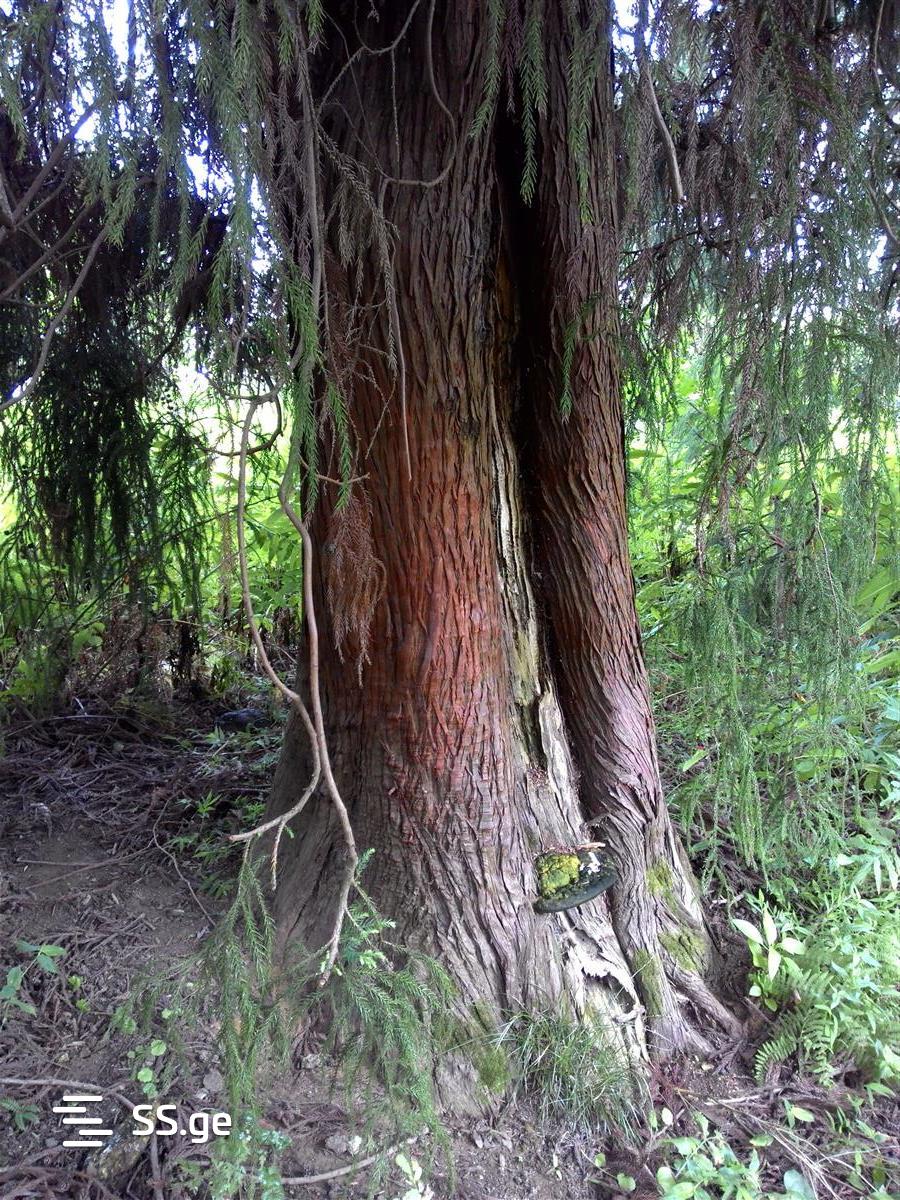 Land For Sale. Ureki view 6