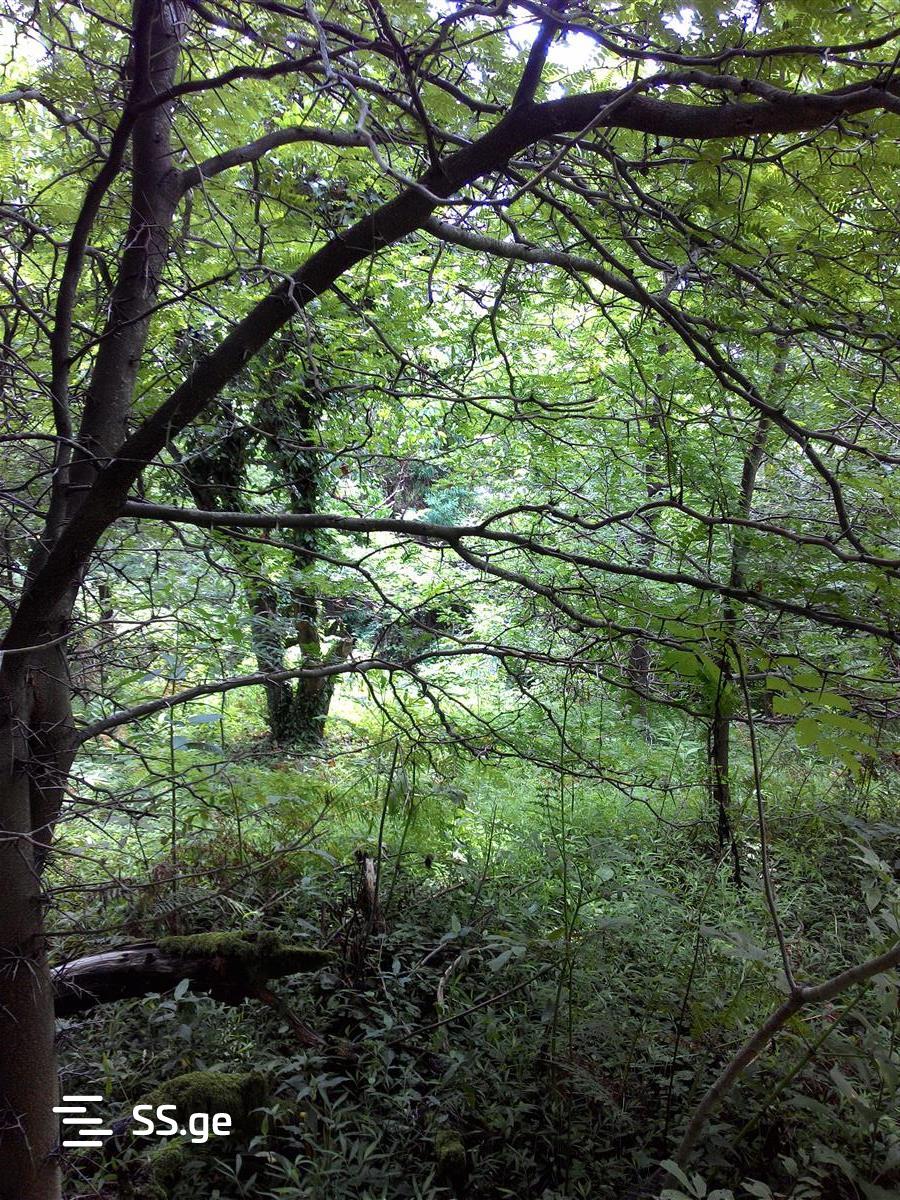 Land For Sale. Ureki view 7
