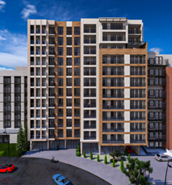 Naneishvili Developer